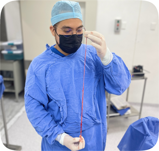 Dr.Alfonso